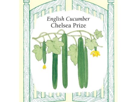 Chelsea Prize English Cucumber Seeds Online Hot Sale