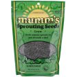 Organic Sunflower Sprouting Seeds Hot on Sale