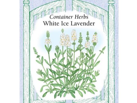 White Ice Container Lavender Seeds on Sale