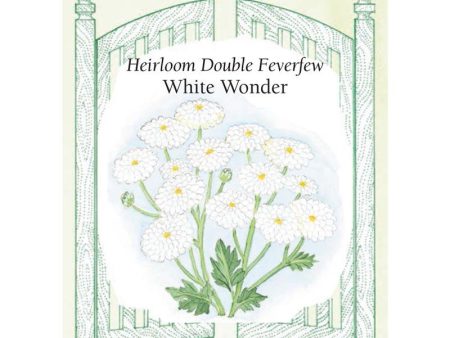 Double White Wonder Feverfew Seeds For Sale