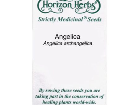 Official Angelica Seeds (Organic) Online now