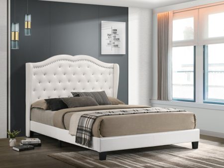 Paradise White Queen Platform Bed Online now