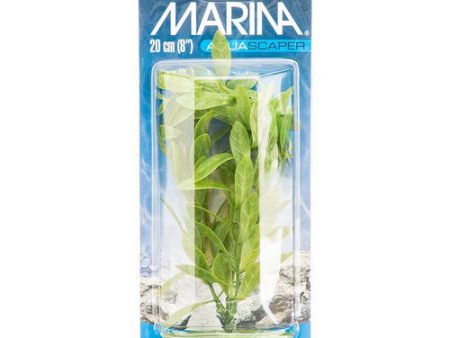 Hygrophila Plant 8  Tall by Marina Fashion