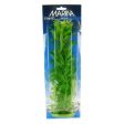 Hygrophila Plant 15  Tall by Marina Online