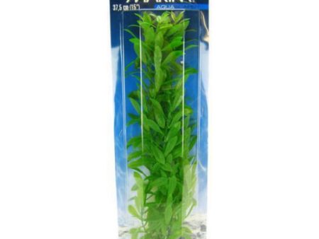 Hygrophila Plant 15  Tall by Marina Online