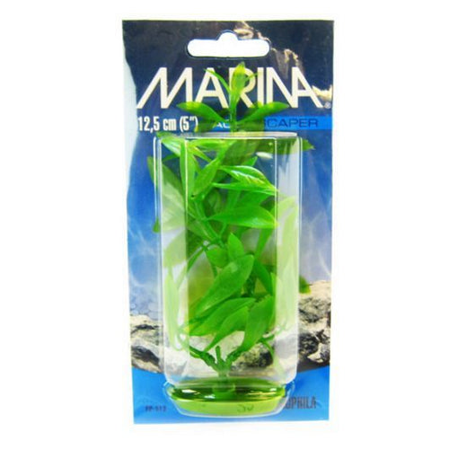 Hygrophila Plant 5  Tall by Marina Sale