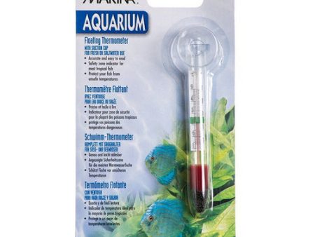 Floating Thermometer with Suction Cup Small Thermometer with Suction Cup by Marina Online